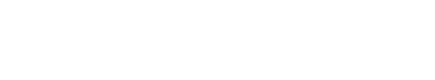Vizion Store